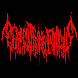Decomposition Of Entrails : Promo 2013 Decomposition Of Entrails : Promo 2013